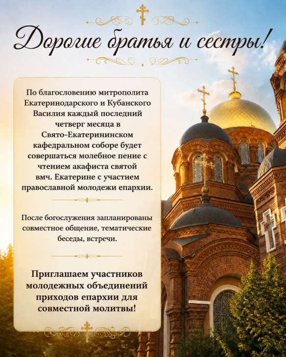 IMG_2321 (1).PNG